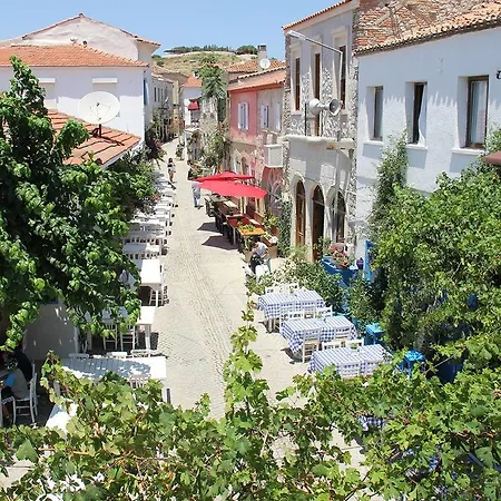 Alacati Hacimemis